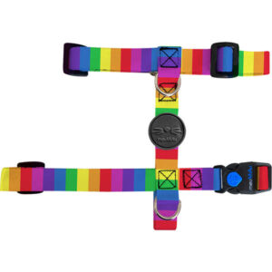 Peitoral H e Guia Rainbow para Gatos