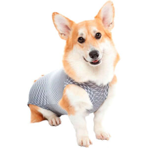 Roupa Pós Castração Pet Med Ultralight  para Cães